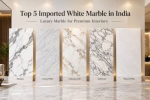 Read more about the article Top 5 Imported White Marble in India